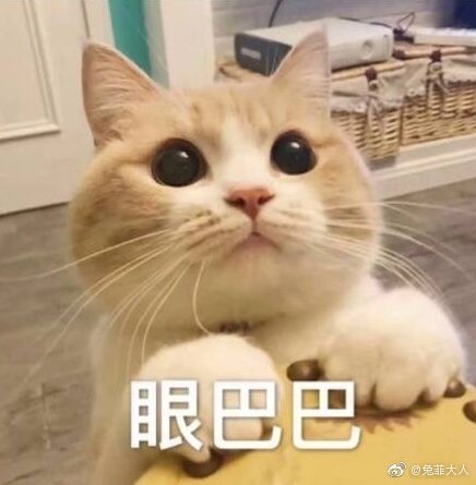 冬季怎样有效补水？豆尚教你这样做(图3)