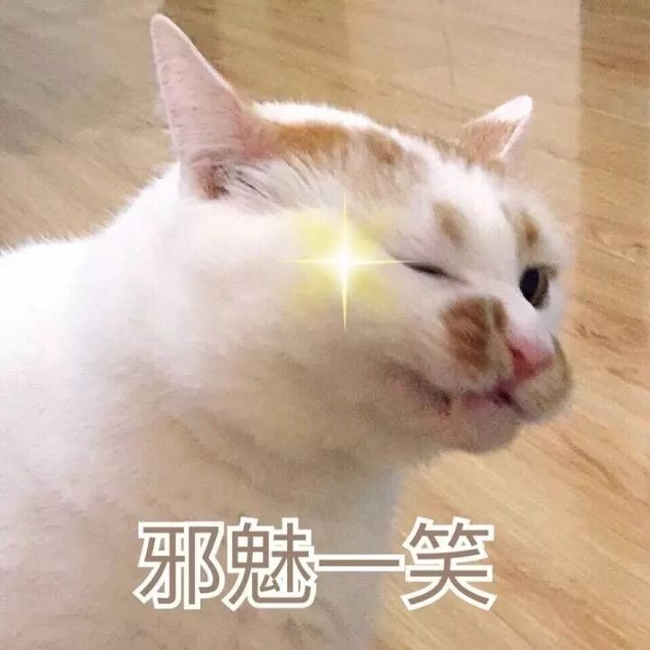 修复原液(图9)
