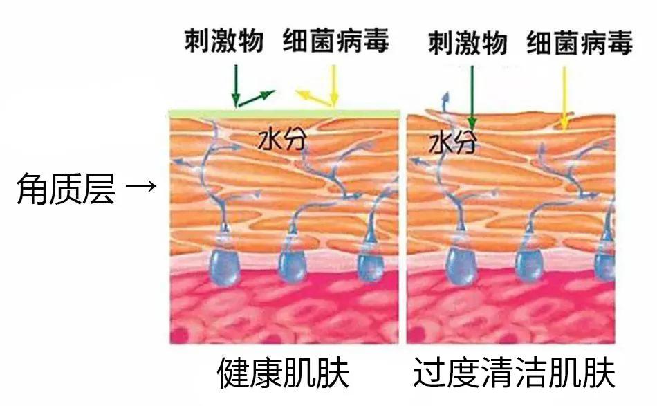 豆尚：肌肤干燥也会长痘？(图4)